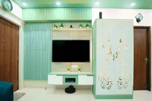 Teal Palate Living Room Designs