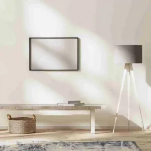 interior design ideas
