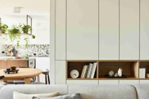 shelves and cabinets designs for 2025